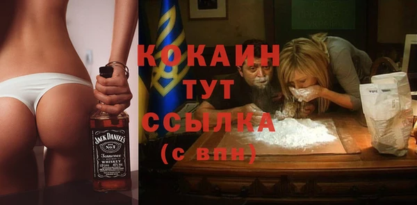 ешки Новозыбков