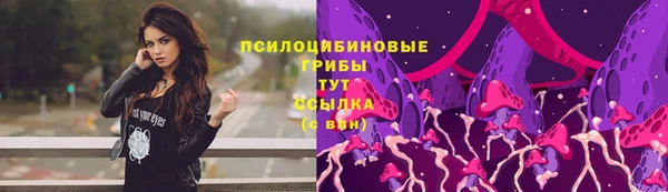 прущие крисы Новодвинск