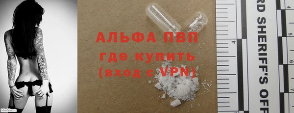 ешки Новозыбков
