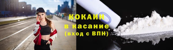 ешки Новозыбков