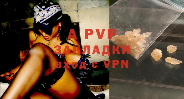 ешки Новозыбков