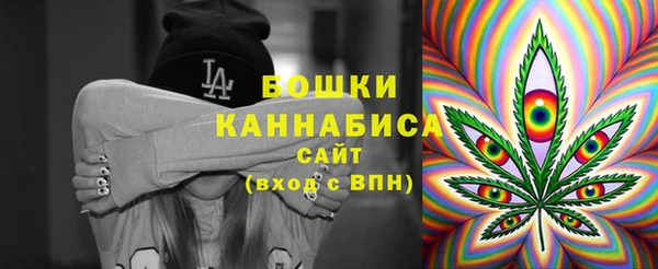 прущие крисы Новодвинск