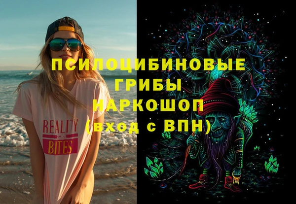 прущие крисы Новодвинск