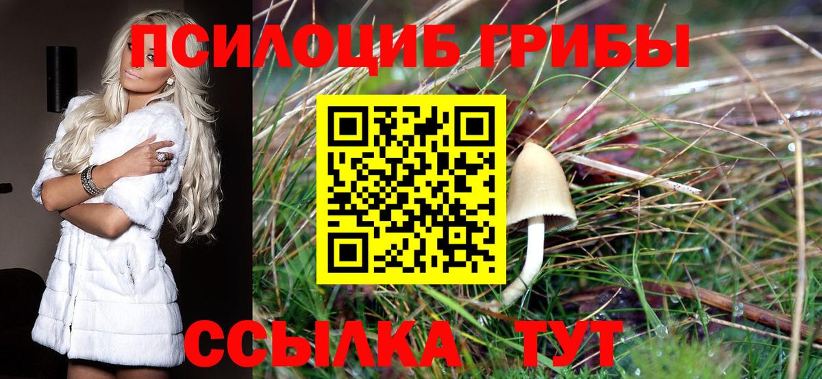 Галлюциногенные грибы GOLDEN TEACHER  дарнет шоп  Тавда  Вход с VPN  Галлюциногенные грибы Magic Shrooms 