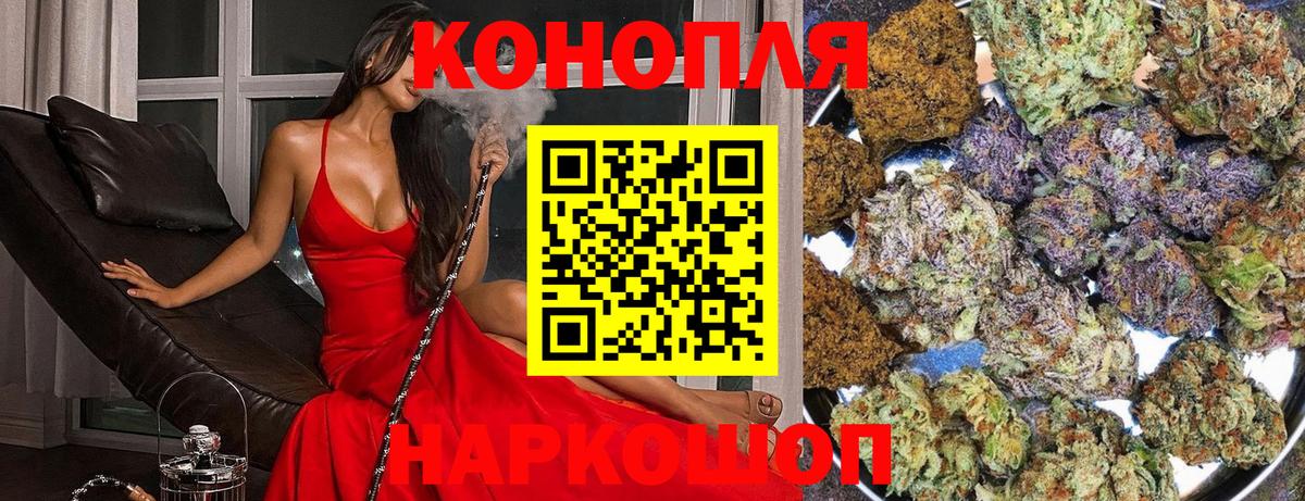 Конопля тримм  Вход с VPN  Тавда  Каннабис тримм  Канабис Amnesia 
